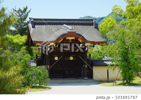 大覚寺 若葉に新緑 青もみじ 大覚寺 若葉に新緑 青もみじ 103891787