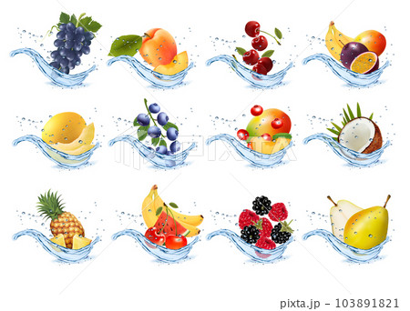 Set of fruits and vegetables in water splashes. Apricot, watermelon, cherry, raspberry, blackberry, coconut, pear, sweet melon, pineapple, strawberry in water splash and drops. Vector illustration. Set of fruits and vegetables in water splashes. Apricot, watermelon, cherry, raspberry, blackberry, coconut, pear, sweet melon, pineapple, strawberry in water splash and drops. Vector illustration. 103891821