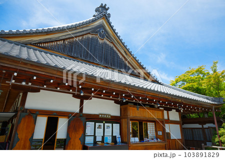 大覚寺　若葉に新緑　青もみじ 103891829