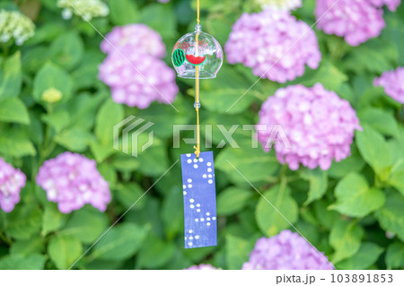 紫陽花とガラスの風鈴 紫陽花とガラスの風鈴 103891853