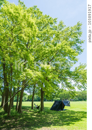 ハモッグで楽しむデイキャンプ 103891917