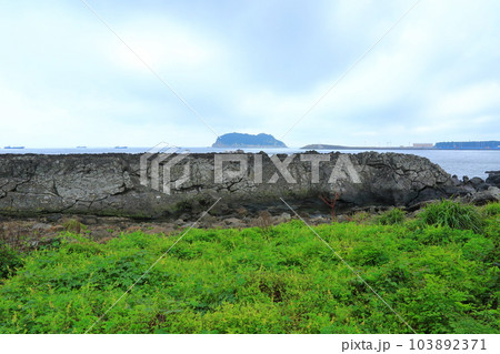 This is the beautiful coastal scenery of Seogwipo, Jeju Island. 103892371