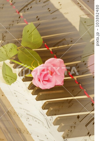 鍵盤にバラ　楽譜 103892480