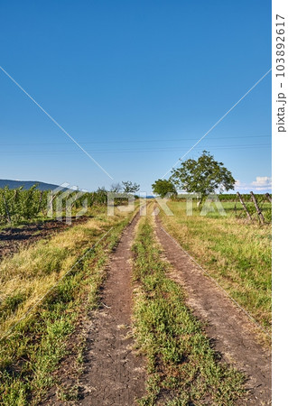 Country dirt road through farmlands 103892617