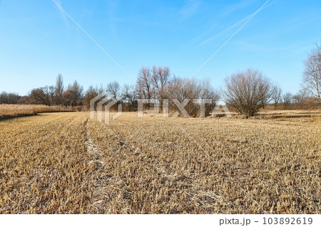 Dry autumn meadow 103892619