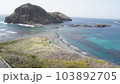 佐渡島の二ツ亀 103892705
