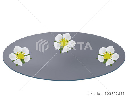 「ワイルドストロベリーの花柄の皿」灰色皿 「ワイルドストロベリーの花柄の皿」灰色皿 103892831
