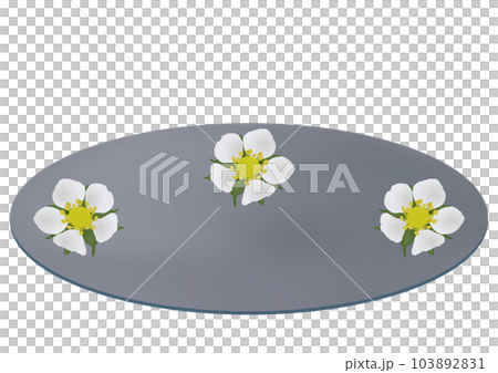 「ワイルドストロベリーの花柄の皿」灰色皿 「ワイルドストロベリーの花柄の皿」灰色皿 103892831