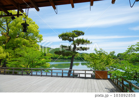 池舞台 大沢池 若葉に新緑 青もみじ 大覚寺 池舞台 大沢池 若葉に新緑 青もみじ 大覚寺 103892858