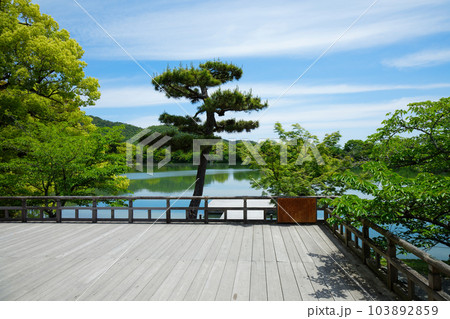 池舞台　大沢池　若葉に新緑　青もみじ　大覚寺 103892859