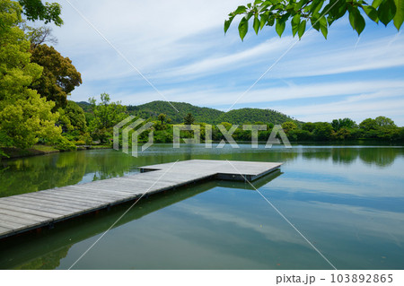池舞台 大沢池 若葉に新緑 青もみじ 大覚寺 池舞台 大沢池 若葉に新緑 青もみじ 大覚寺 103892865