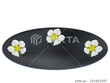 「ワイルドストロベリーの花柄の皿」青色皿 103892897