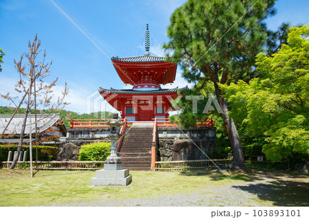 心経宝塔 大沢池 若葉に新緑 青もみじ 大覚寺 心経宝塔 大沢池 若葉に新緑 青もみじ 大覚寺 103893101