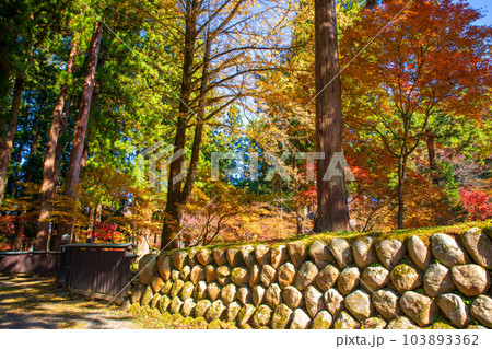 雲洞庵　入口付近　紅葉　新潟県南魚沼市　　 103893362