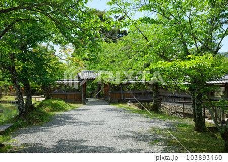 大沢門 大沢池 若葉に新緑 青もみじ 大覚寺 大沢門 大沢池 若葉に新緑 青もみじ 大覚寺 103893460