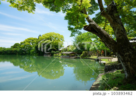 大沢池 若葉に新緑 青もみじ 大覚寺 大沢池 若葉に新緑 青もみじ 大覚寺 103893462
