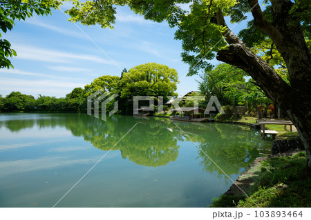 大沢池 若葉に新緑 青もみじ 大覚寺 大沢池 若葉に新緑 青もみじ 大覚寺 103893464