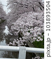 桜並木 103893504