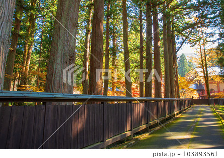 雲洞庵　入口付近　紅葉　新潟県南魚沼市　　 103893561
