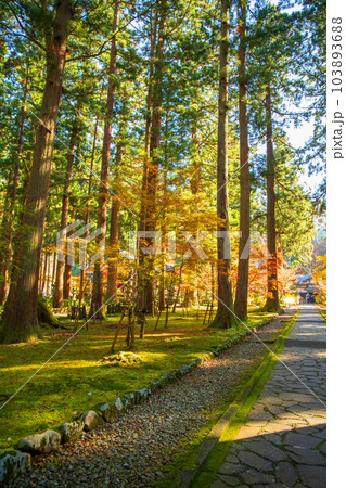雲洞庵 紅葉 新潟県南魚沼市 雲洞庵 紅葉 新潟県南魚沼市 103893688