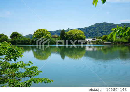 大沢池 若葉に新緑 青もみじ 大覚寺 大沢池 若葉に新緑 青もみじ 大覚寺 103894148