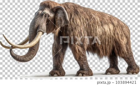 マンモスのイメージ写真5 マンモスのイメージ写真5 103894421