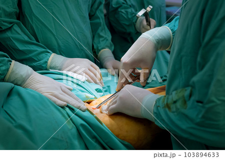 After suffering injuries to leg, individuals may require orthopedic surgery to repair damaged ligaments tendons. 103894633