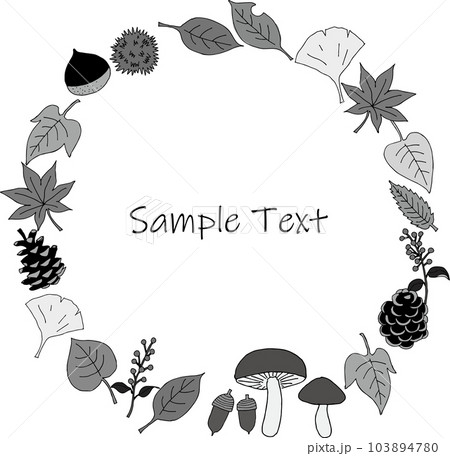 秋の植物のフレーム素材（手書き、手描き） 103894780