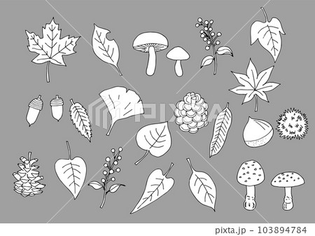 秋の植物の素材セット(手書き、手描き) 秋の植物の素材セット(手書き、手描き) 103894784