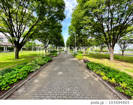 広くて綺麗な国営公園「東京臨海広域防災公園」 in 東京都江東区有明 広くて綺麗な国営公園「東京臨海広域防災公園」 in 東京都江東区有明 103894805