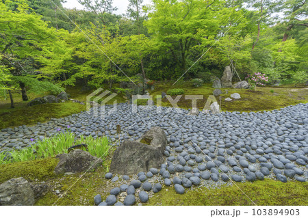 京都嵐山・宝厳院　獅子吼の庭　新緑の季節 103894903