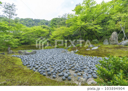 京都嵐山・宝厳院 獅子吼の庭 新緑の季節 京都嵐山・宝厳院 獅子吼の庭 新緑の季節 103894904