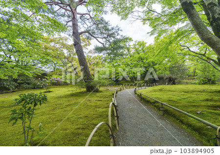 京都嵐山・宝厳院 獅子吼の庭 新緑の季節 京都嵐山・宝厳院 獅子吼の庭 新緑の季節 103894905