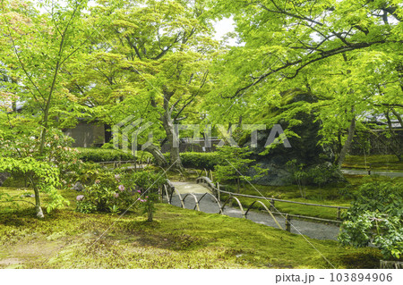 京都嵐山・宝厳院　獅子吼の庭　新緑の季節 103894906
