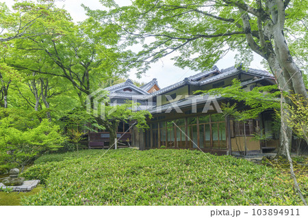 京都嵐山・宝厳院 獅子吼の庭 新緑の季節 京都嵐山・宝厳院 獅子吼の庭 新緑の季節 103894911