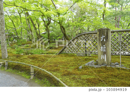京都嵐山・宝厳院　獅子吼の庭　大堰川の木標 103894919