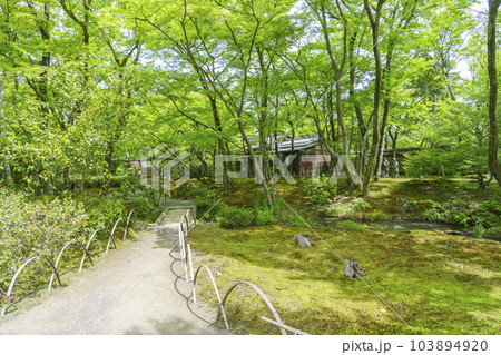 京都嵐山・宝厳院 獅子吼の庭 新緑の季節 京都嵐山・宝厳院 獅子吼の庭 新緑の季節 103894920