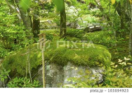 京都嵐山・宝厳院　獅子吼の庭　坐禅石　新緑の季節 103894923