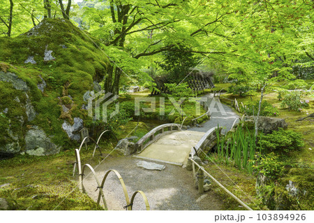京都嵐山・宝厳院 獅子吼の庭 新緑の季節 京都嵐山・宝厳院 獅子吼の庭 新緑の季節 103894926