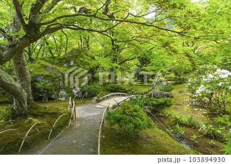 京都嵐山・宝厳院 獅子吼の庭 新緑の季節 京都嵐山・宝厳院 獅子吼の庭 新緑の季節 103894930