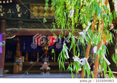 京都 紫雲山頂法寺 六角堂と六角柳 103894963