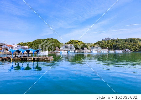 新緑輝く頃の勝浦港　和歌山県那智勝浦町 103895882