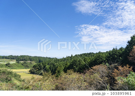 蕎麦畑と青い空 103895961