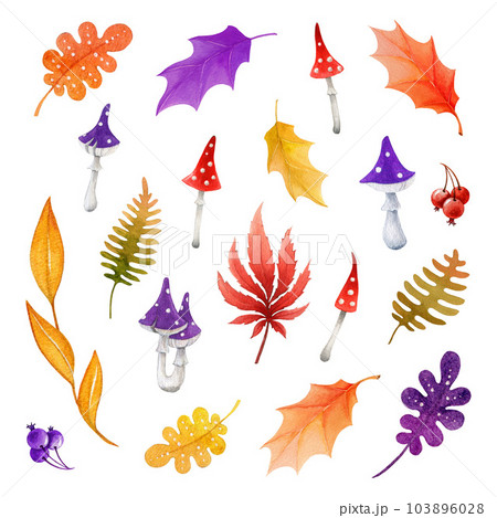 Autumn leaves and mushrooms cartoon style set. Watercolor painted illustration. Hand drawn fall season leaf and mushroom element collection. Bright autumn decor elements on white background 103896028
