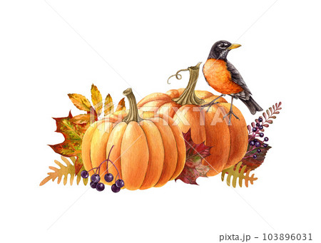 Autumn rustic decor with pumpkins and american robin bird. Watercolor illustration. Hand drawn cozy autumn vintage style decor with robin bird. Pumpkins, fern, berries, leaves floral decoration Autumn rustic decor with pumpkins and american robin bird. Watercolor illustration. Hand drawn cozy autumn vintage style decor with robin bird. Pumpkins, fern, berries, leaves floral decoration 103896031
