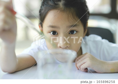 Little child with learning science class in school laboratory Little child with learning science class in school laboratory 103896258