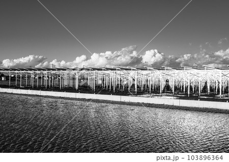 ソーラーシェアリング 太陽光発電のある農地 水田と遠い積乱雲 モノクロ ソーラーシェアリング 太陽光発電のある農地 水田と遠い積乱雲 モノクロ 103896364