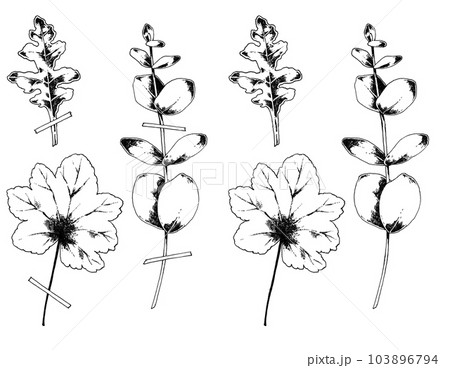 シルバーリーフのモノクロイラスト シルバーリーフのモノクロイラスト 103896794