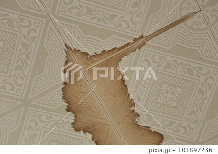 洋室の雨漏りした天井 洋室の雨漏りした天井 103897236