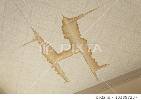 洋室の雨漏りした天井 103897237